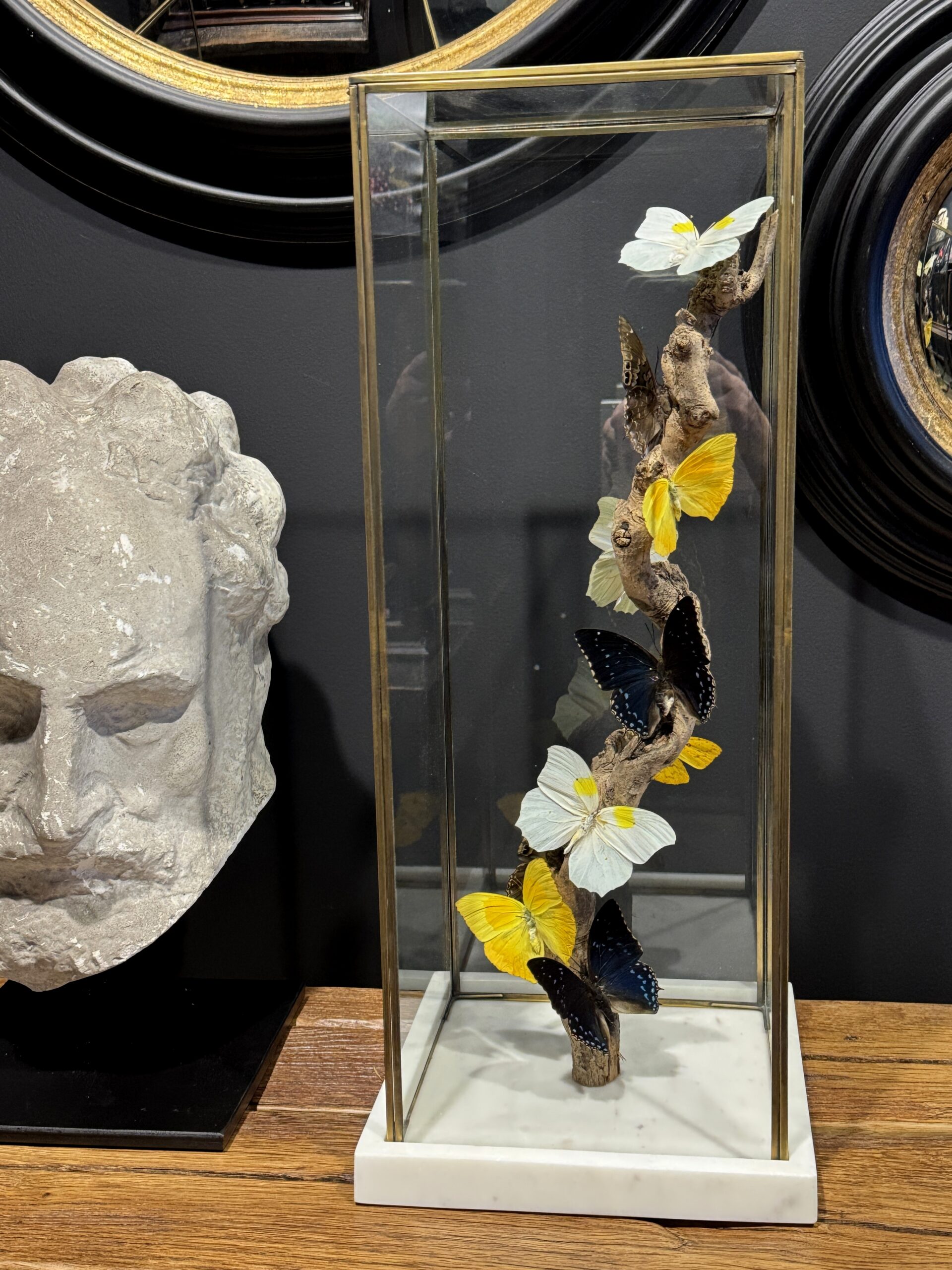 Moderne vlinderstolp Moderne vlinderstolp