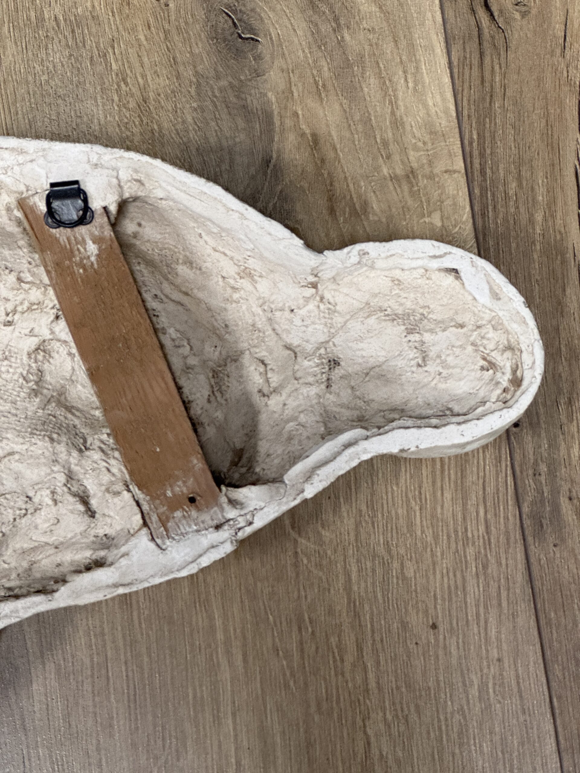 Medisch model van een baarmoeder van een koe Medisch model van een baarmoeder van een koe