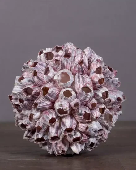 [OD1243] Barnacle Sphere.jpg