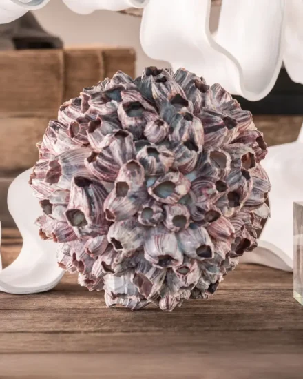 OD1243-amb OD1243-amb