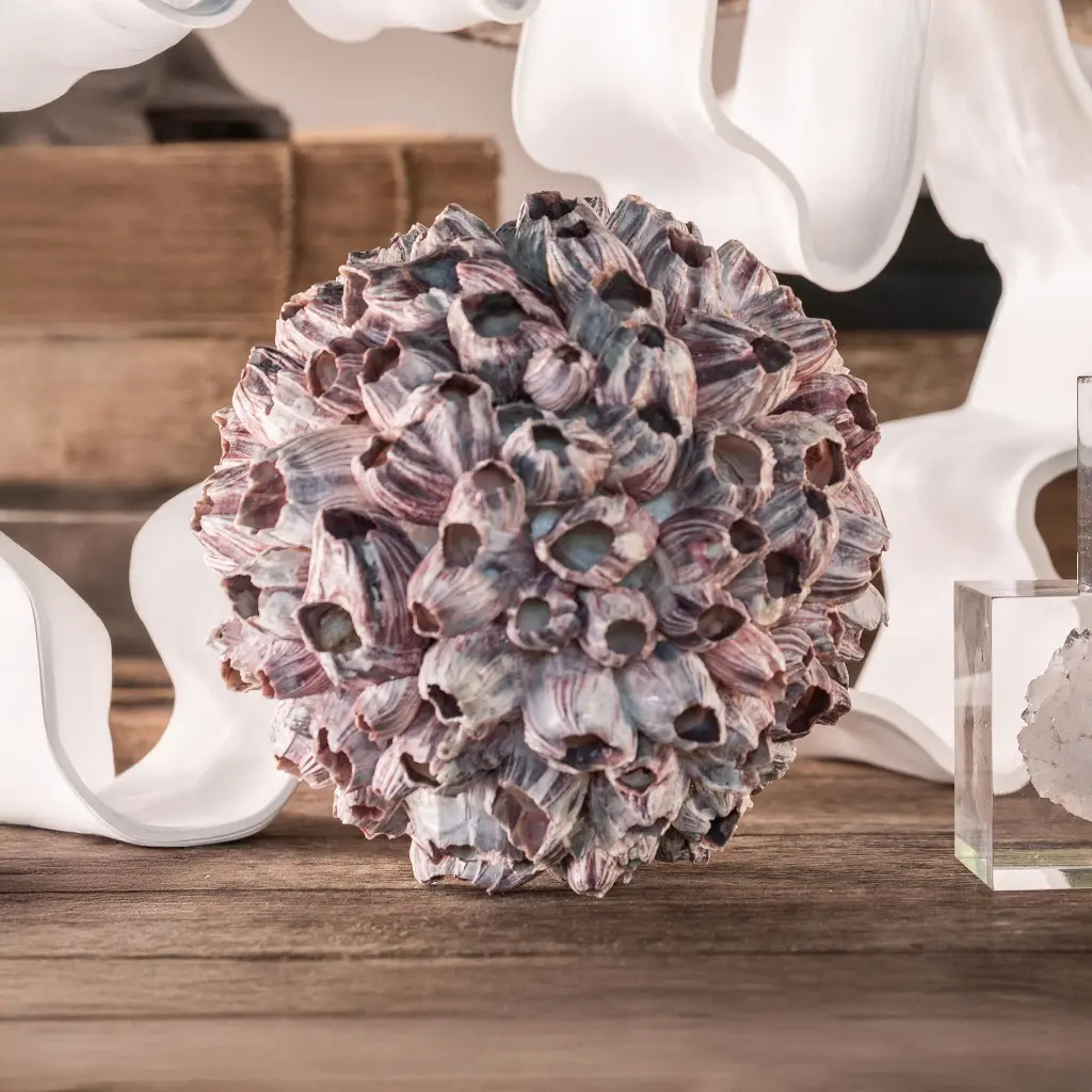 Zeepokken bol Zeepokken bol