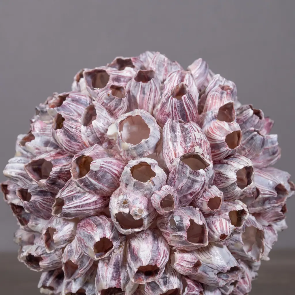 Zeepokken bol Zeepokken bol