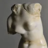 Beeld Venus Beeld Venus