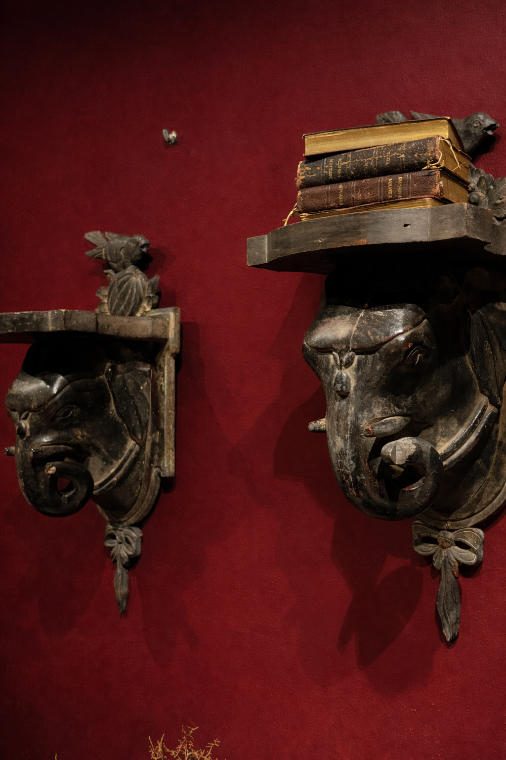 Set van 2 antieke houten olifantenkoppen Set van 2 antieke houten olifantenkoppen