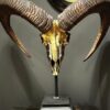 Metalliseren