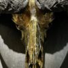 Metalliseren