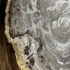 Dienblad van versteend hout Dienblad van versteend hout