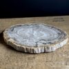 Dienblad van versteend hout