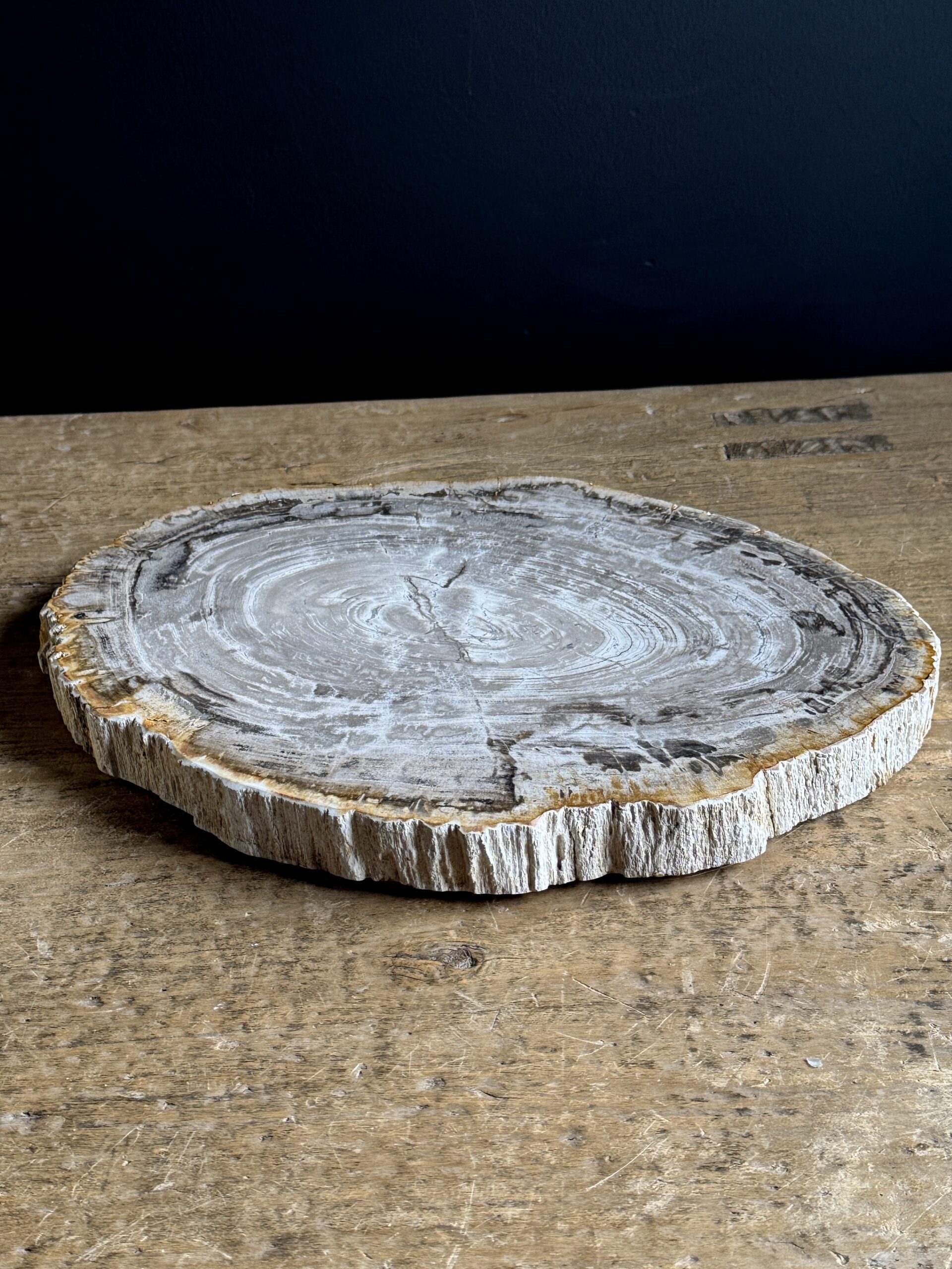 Dienblad van versteend hout