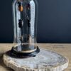Dienblad van versteend hout Dienblad van versteend hout