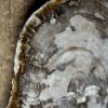 Dienblad van versteend hout