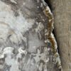 Dienblad van versteend hout
