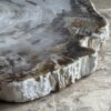 Dienblad van versteend hout