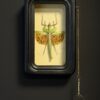 Wandelende tak Paracyphocrania Major met vergrootglas Wandelende tak Paracyphocrania Major met vergrootglas
