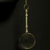 Wandelende tak Paracyphocrania Major met vergrootglas Wandelende tak Paracyphocrania Major met vergrootglas