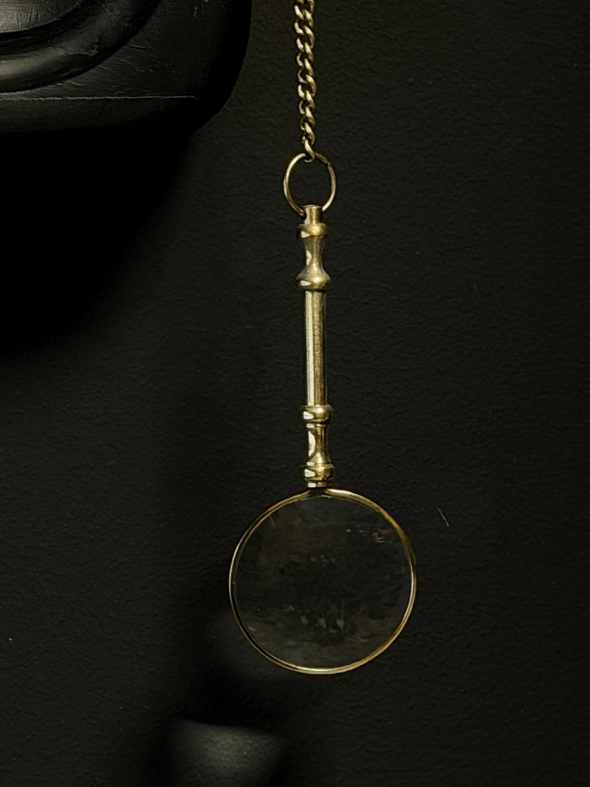 Wandelende tak Paracyphocrania Major met vergrootglas Wandelende tak Paracyphocrania Major met vergrootglas