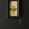 Wandelende tak Paracyphocrania Major met vergrootglas Wandelende tak Paracyphocrania Major met vergrootglas