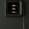 3 IXA CYLINDRUS krabben in observatie frame