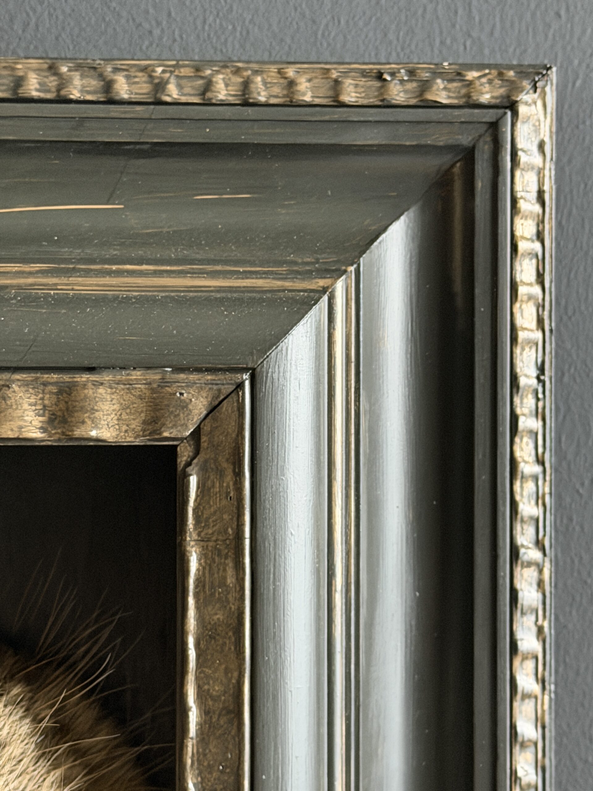 Opgezette haas Opgezette haas