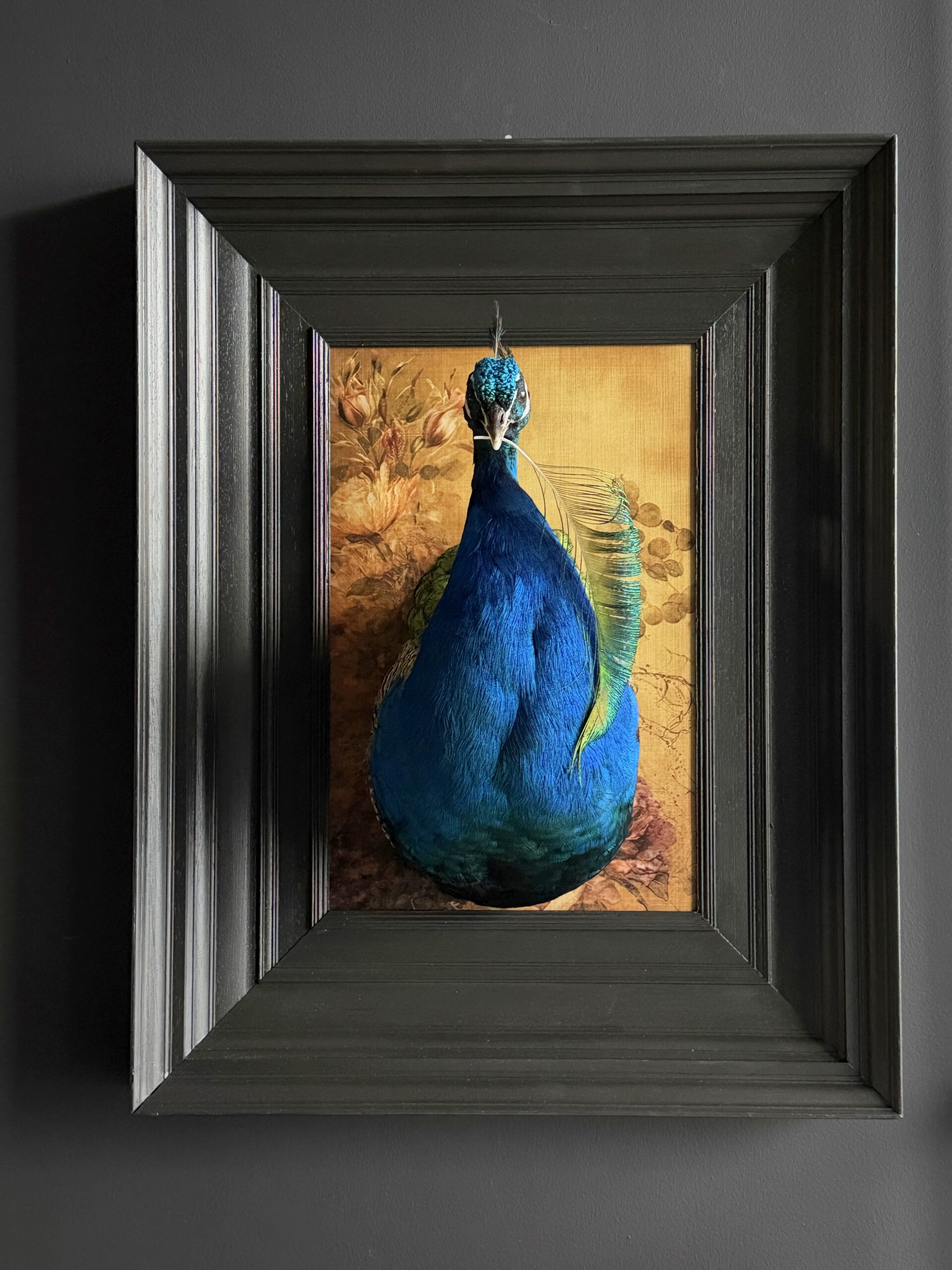 Opgezette pauw kunstwerk