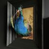 Opgezette pauw kunstwerk