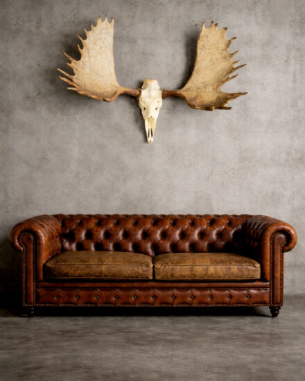 elandgewei in modern interieur elandgewei in modern interieur