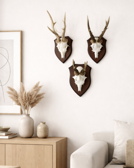 reegeweitjes te koop