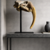 Bronzen walrusschedel