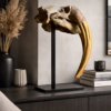 Bronzen walrusschedel