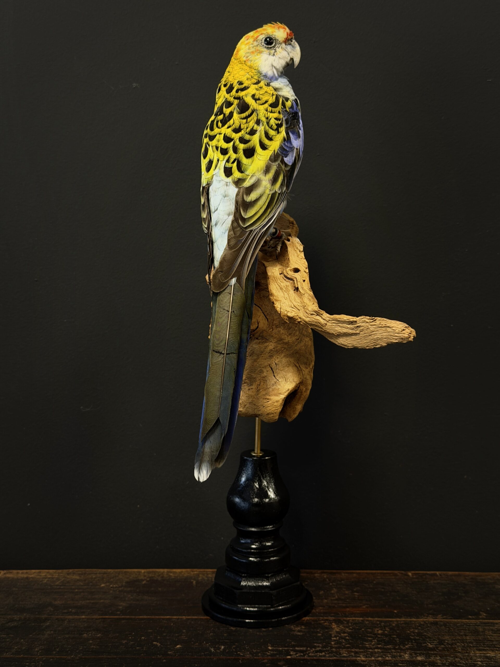 Opgezette parkiet Opgezette parkiet