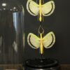 Antieke stolp met wandelende takken