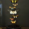 Antieke stolp met insecten Antieke stolp met insecten