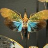 Antieke stolp met insecten Antieke stolp met insecten