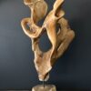 Natuurlijk houten object Natuurlijk houten object