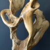 Natuurlijk houten object Natuurlijk houten object