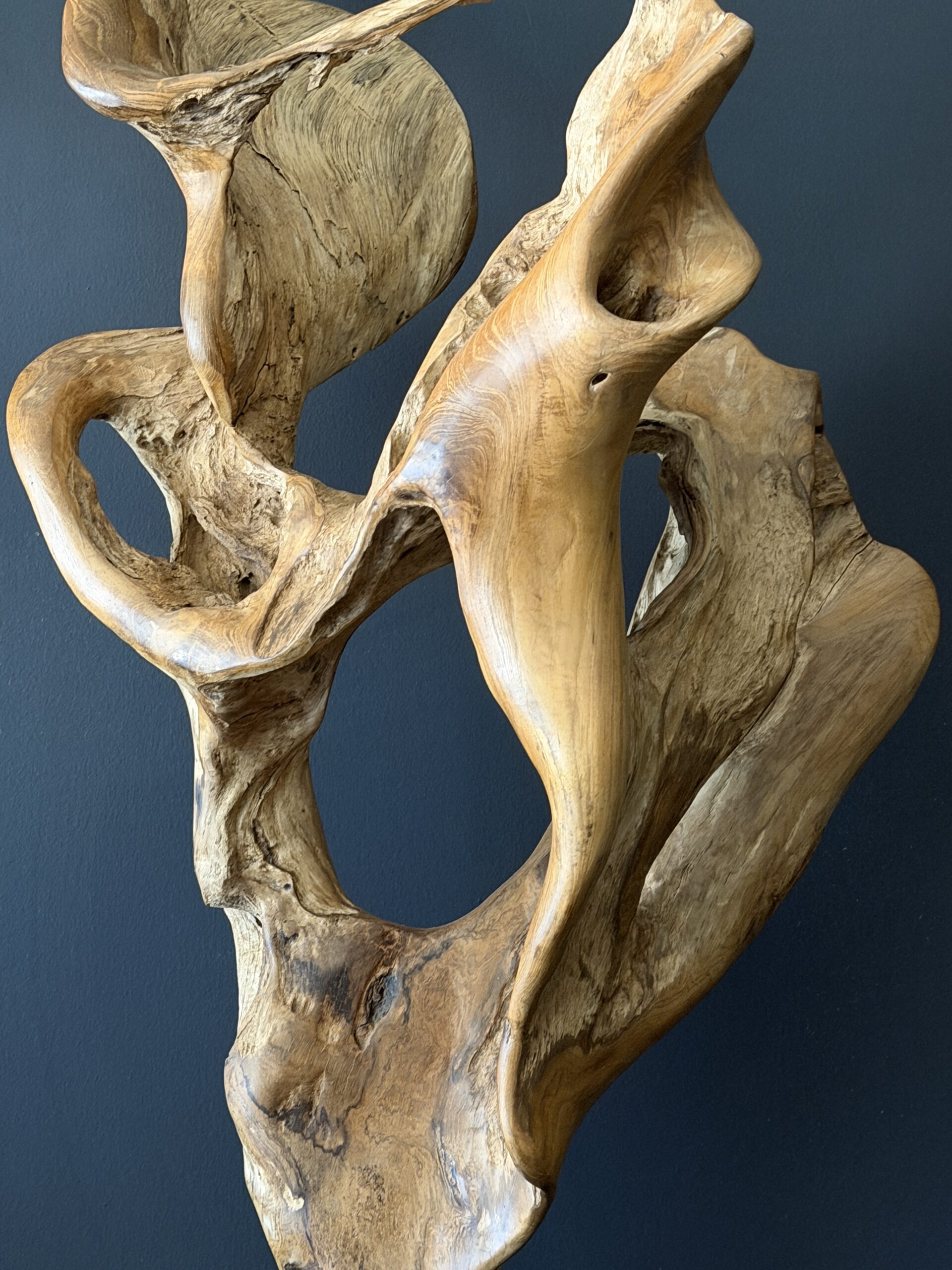 Natuurlijk houten object Natuurlijk houten object