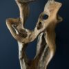 Natuurlijk houten object Natuurlijk houten object