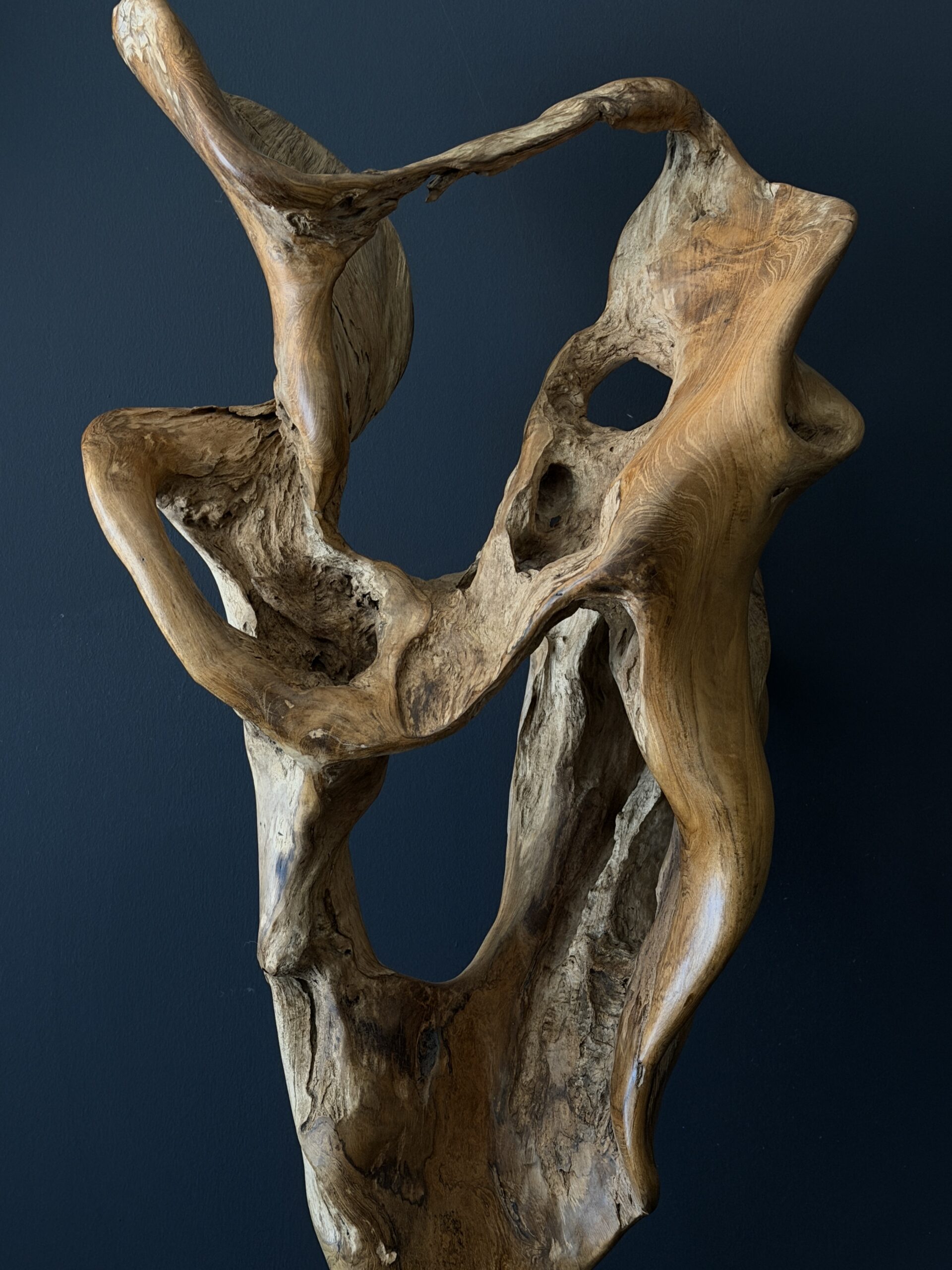 Natuurlijk houten object Natuurlijk houten object