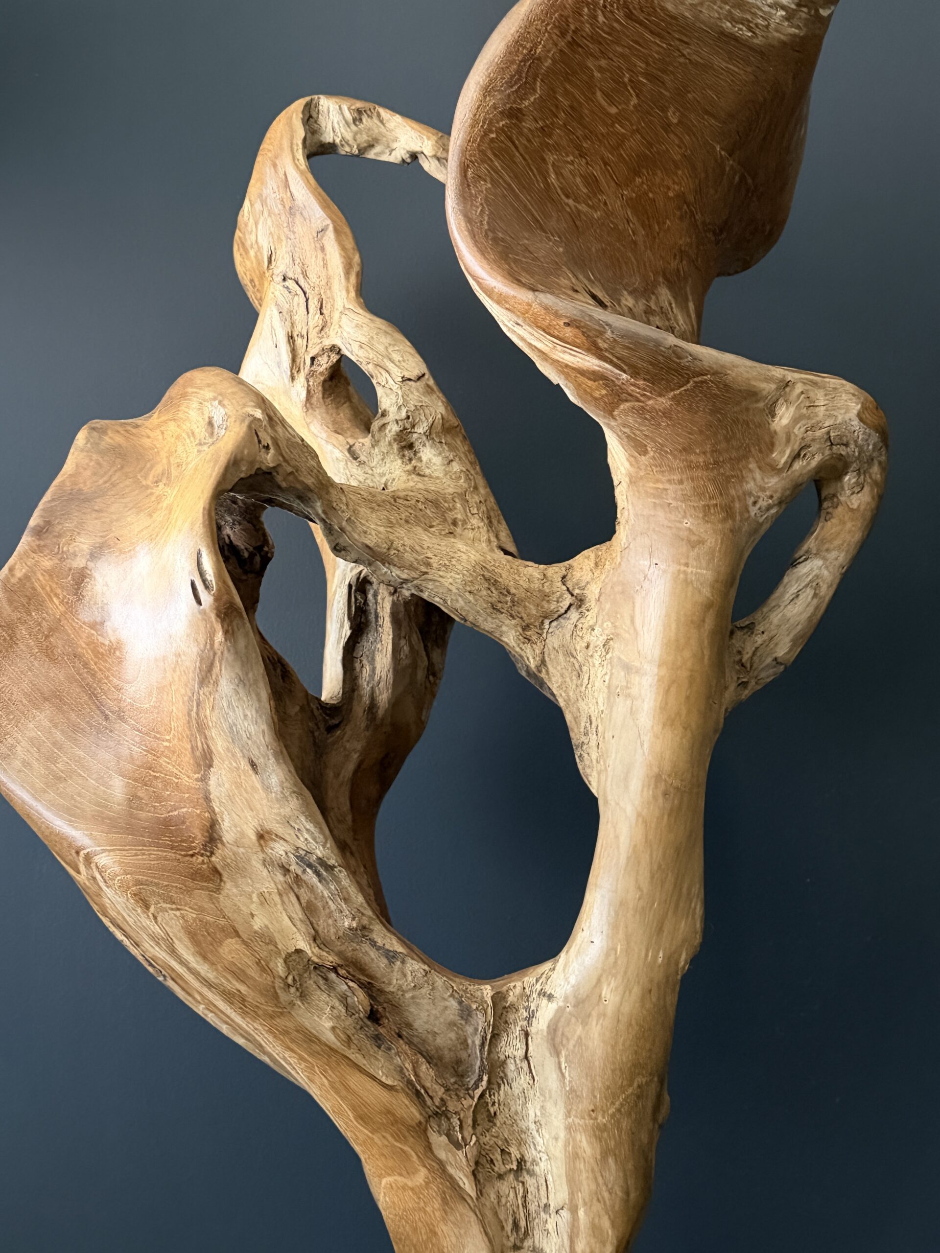 Natuurlijk houten object Natuurlijk houten object