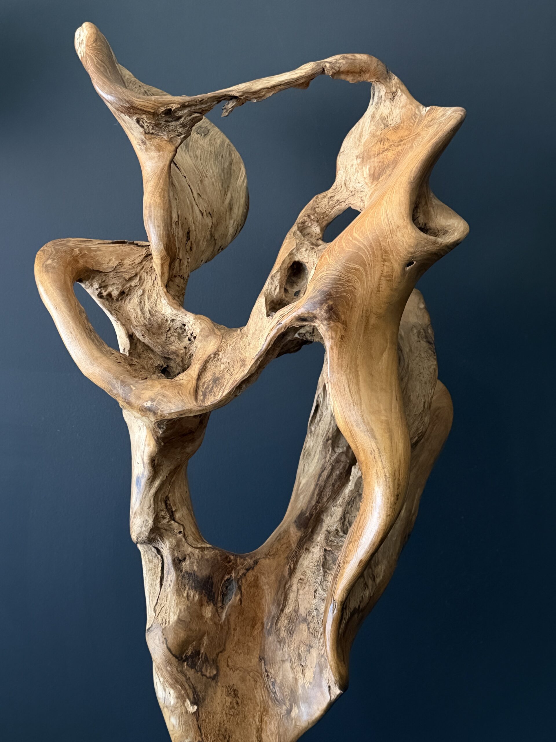 Natuurlijk houten object Natuurlijk houten object