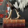 Opgezette haan op antieke boeken Opgezette haan op antieke boeken