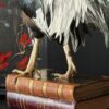 Opgezette haan op antieke boeken Opgezette haan op antieke boeken