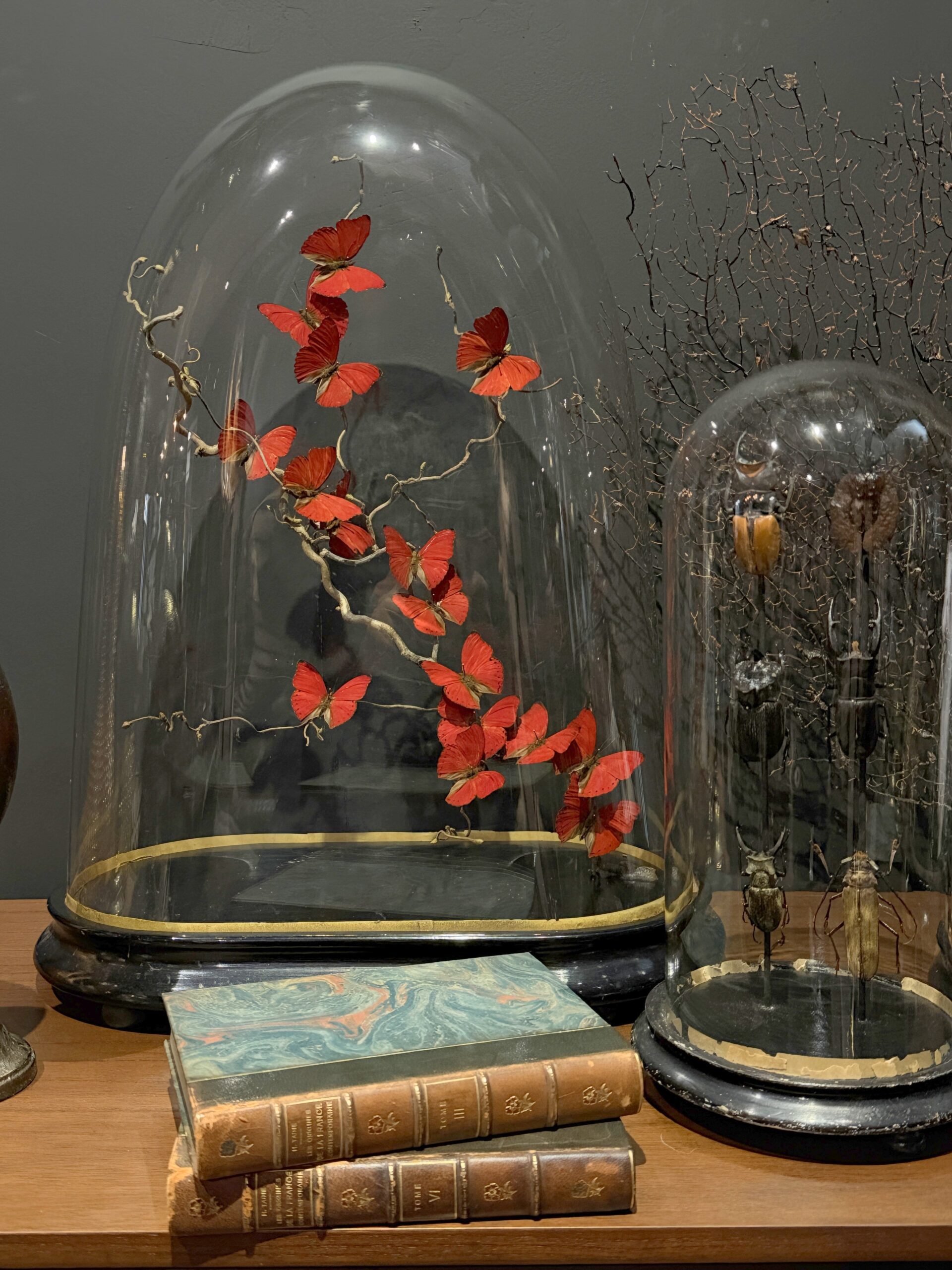 Stolp met rode vlinders Stolp met rode vlinders