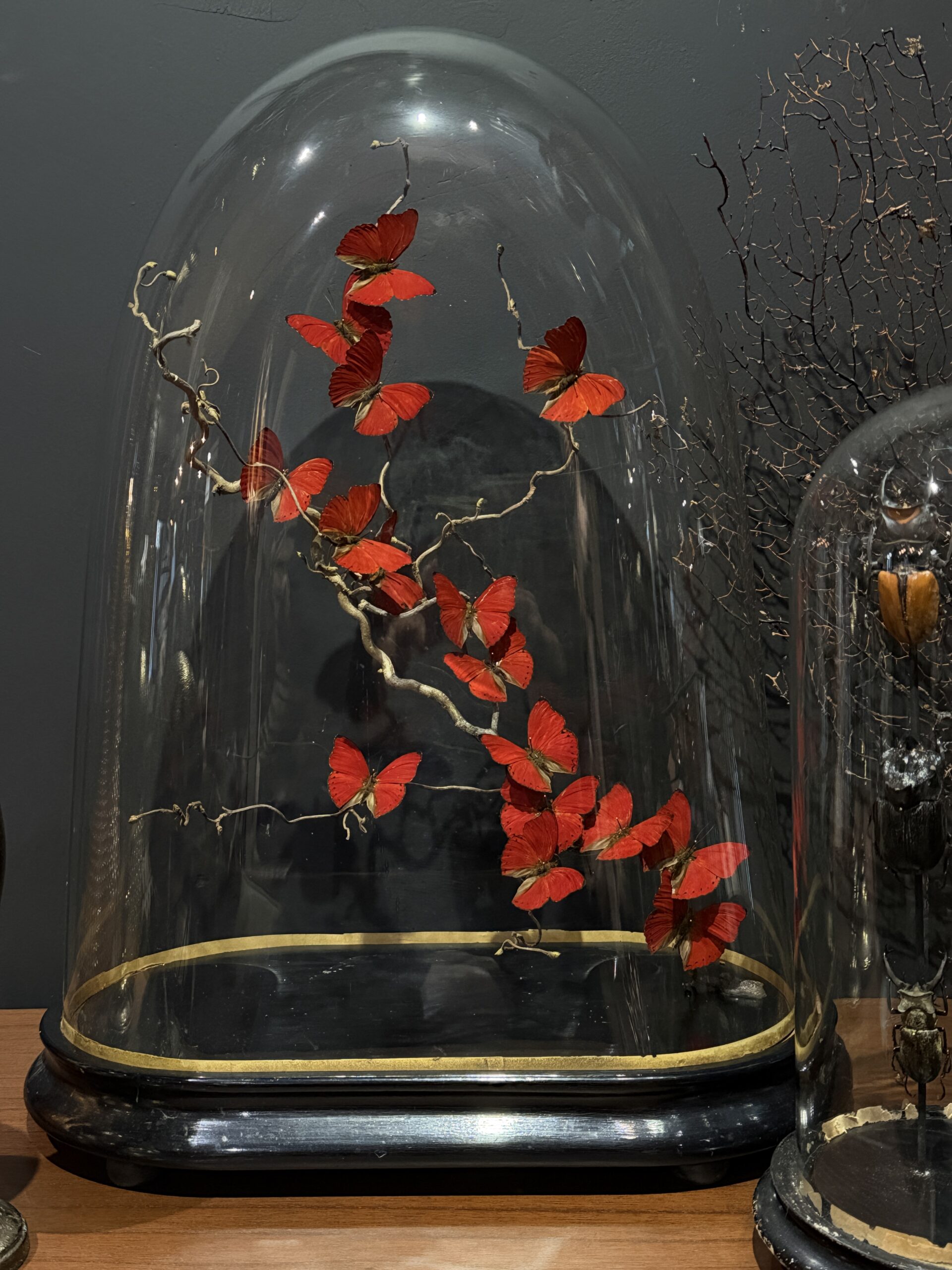 Stolp met rode vlinders Stolp met rode vlinders