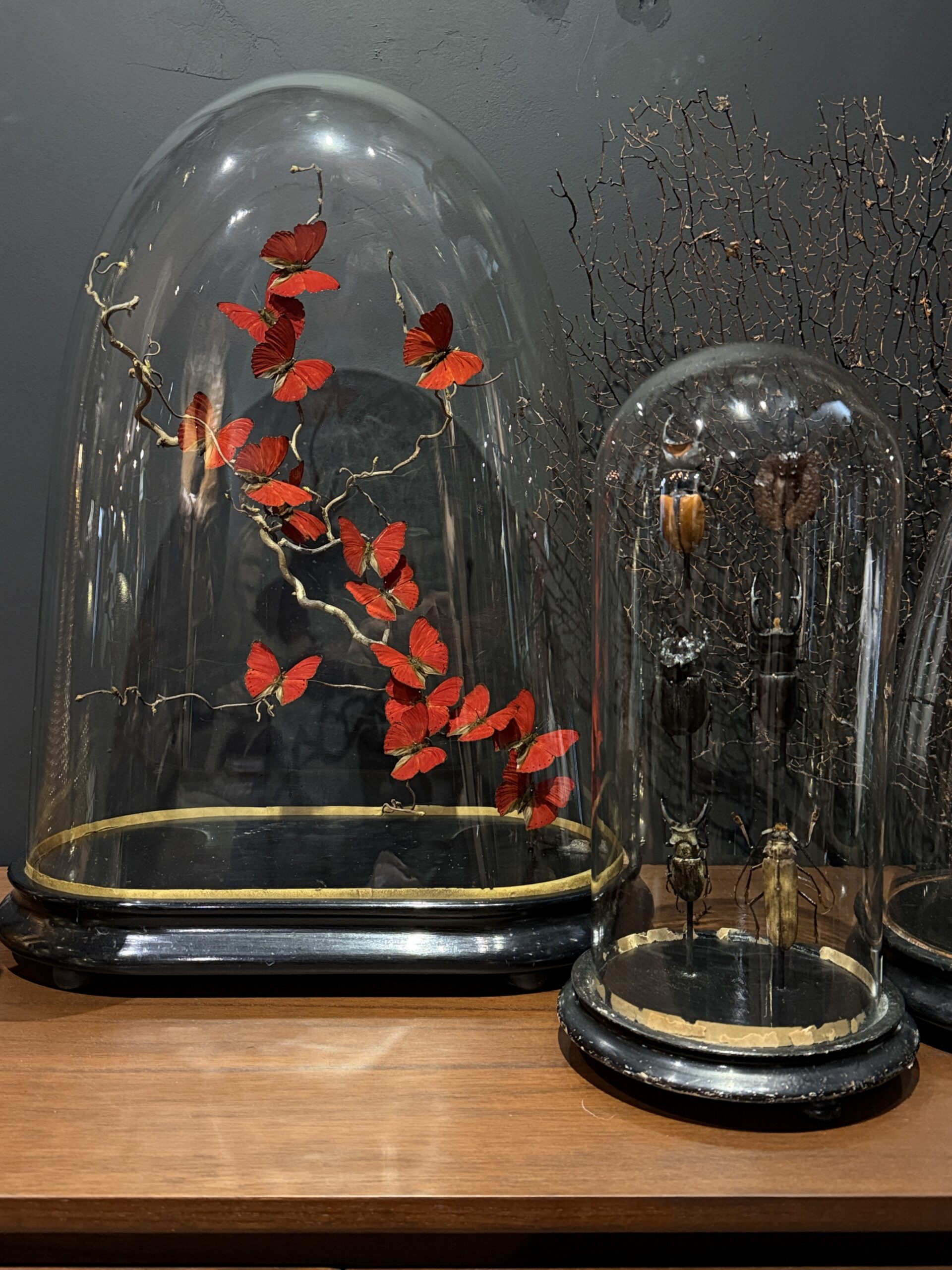 Stolp met rode vlinders Stolp met rode vlinders