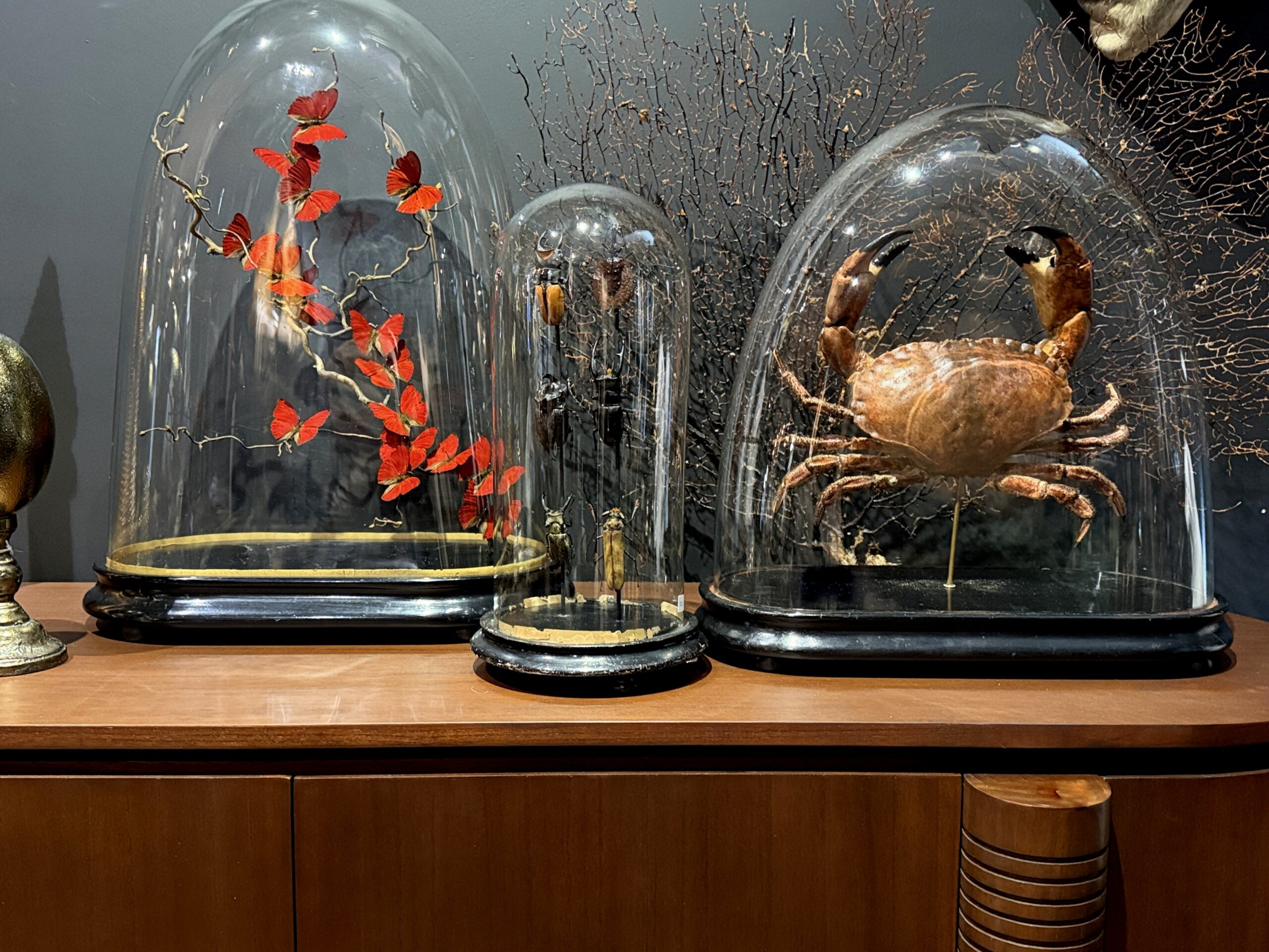 Stolp met rode vlinders Stolp met rode vlinders