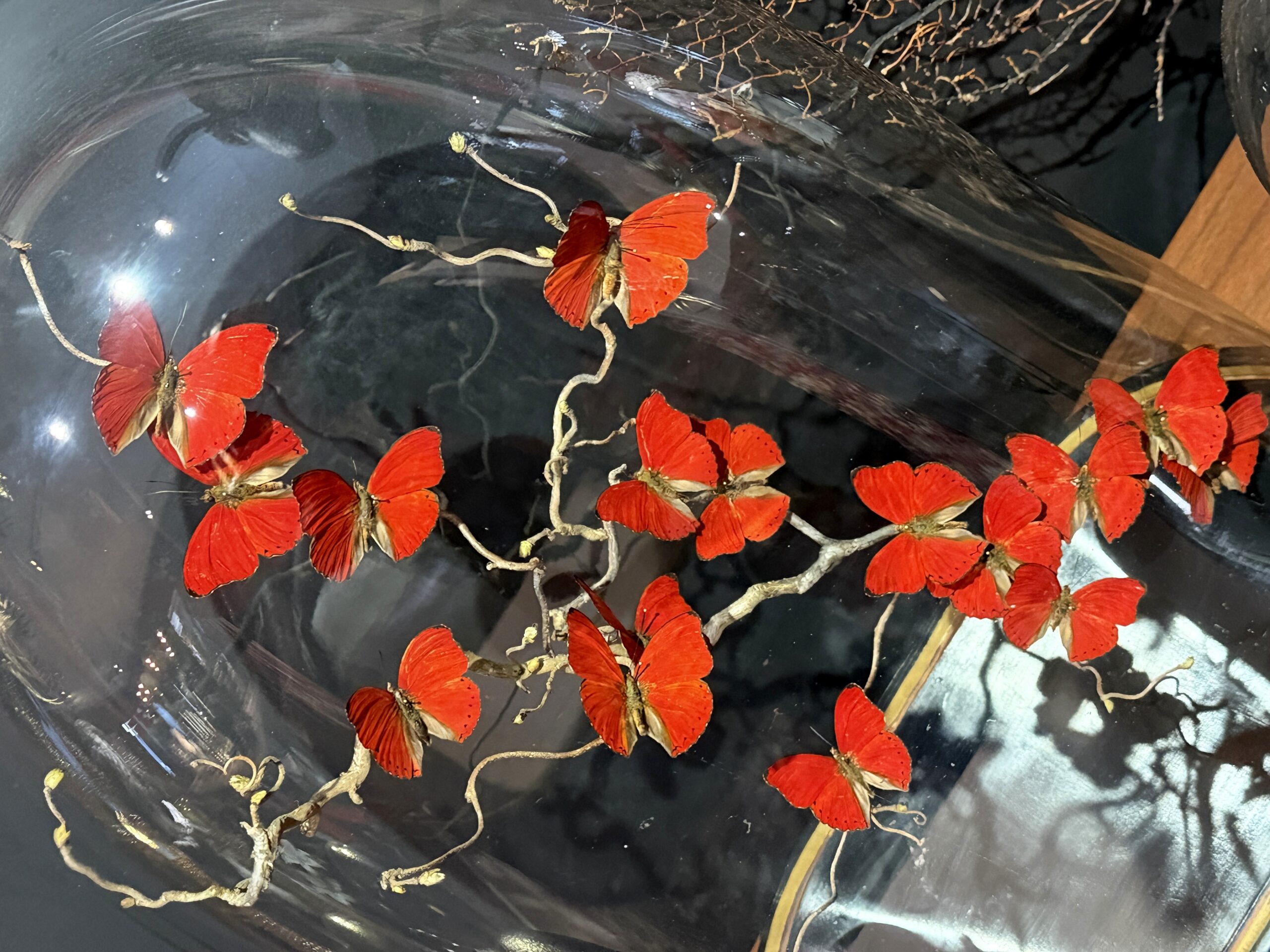 Stolp met rode vlinders Stolp met rode vlinders