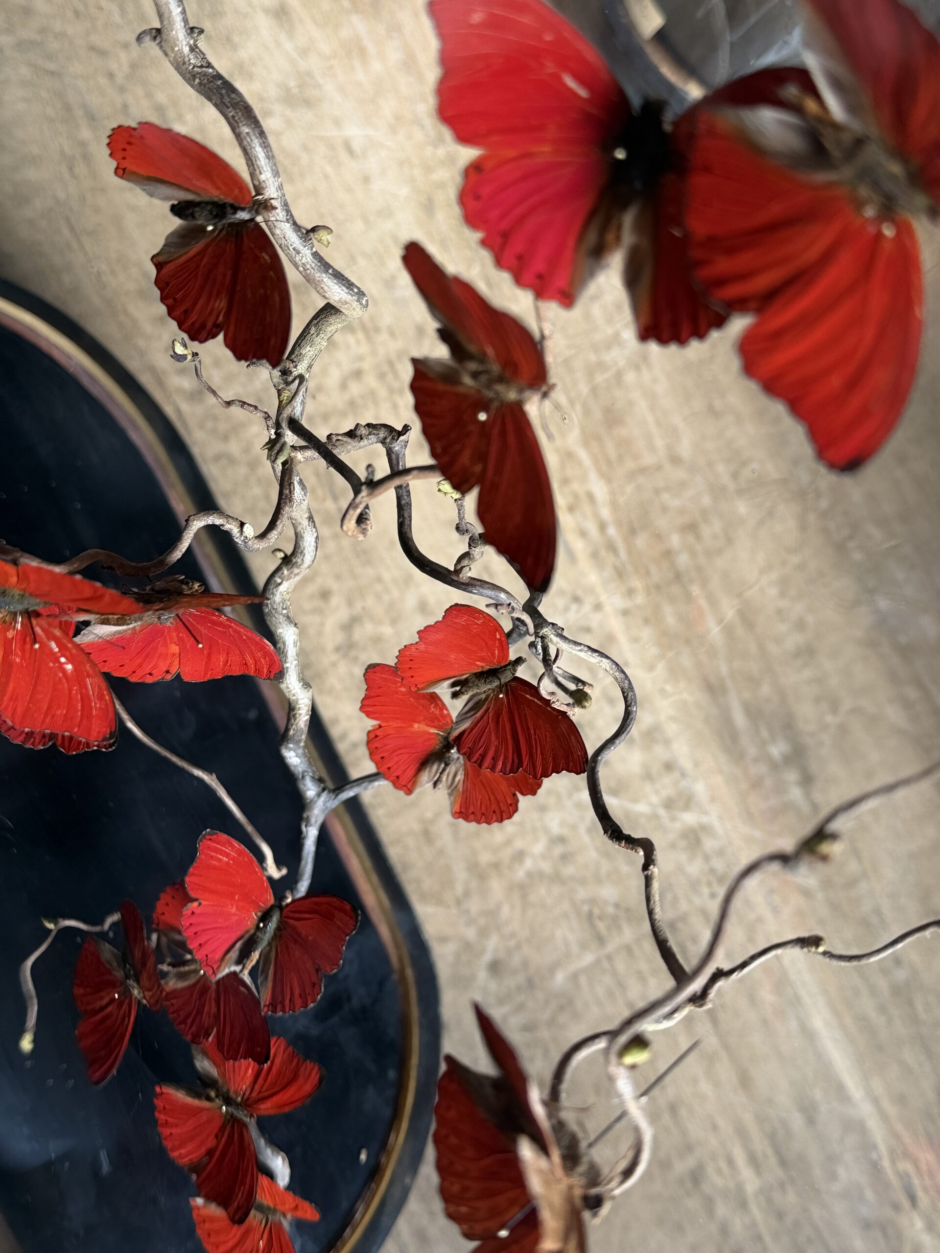 Stolp met rode vlinders Stolp met rode vlinders