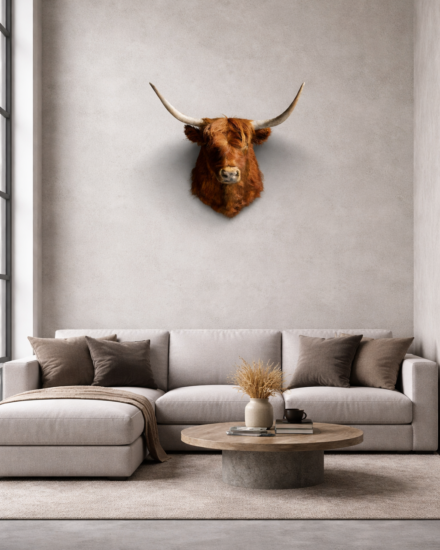 Mounted highlander bull Mounted highlander bull