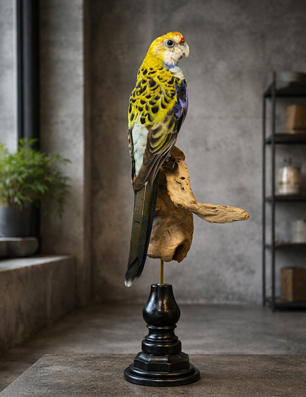 Opgezette parkiet Opgezette parkiet